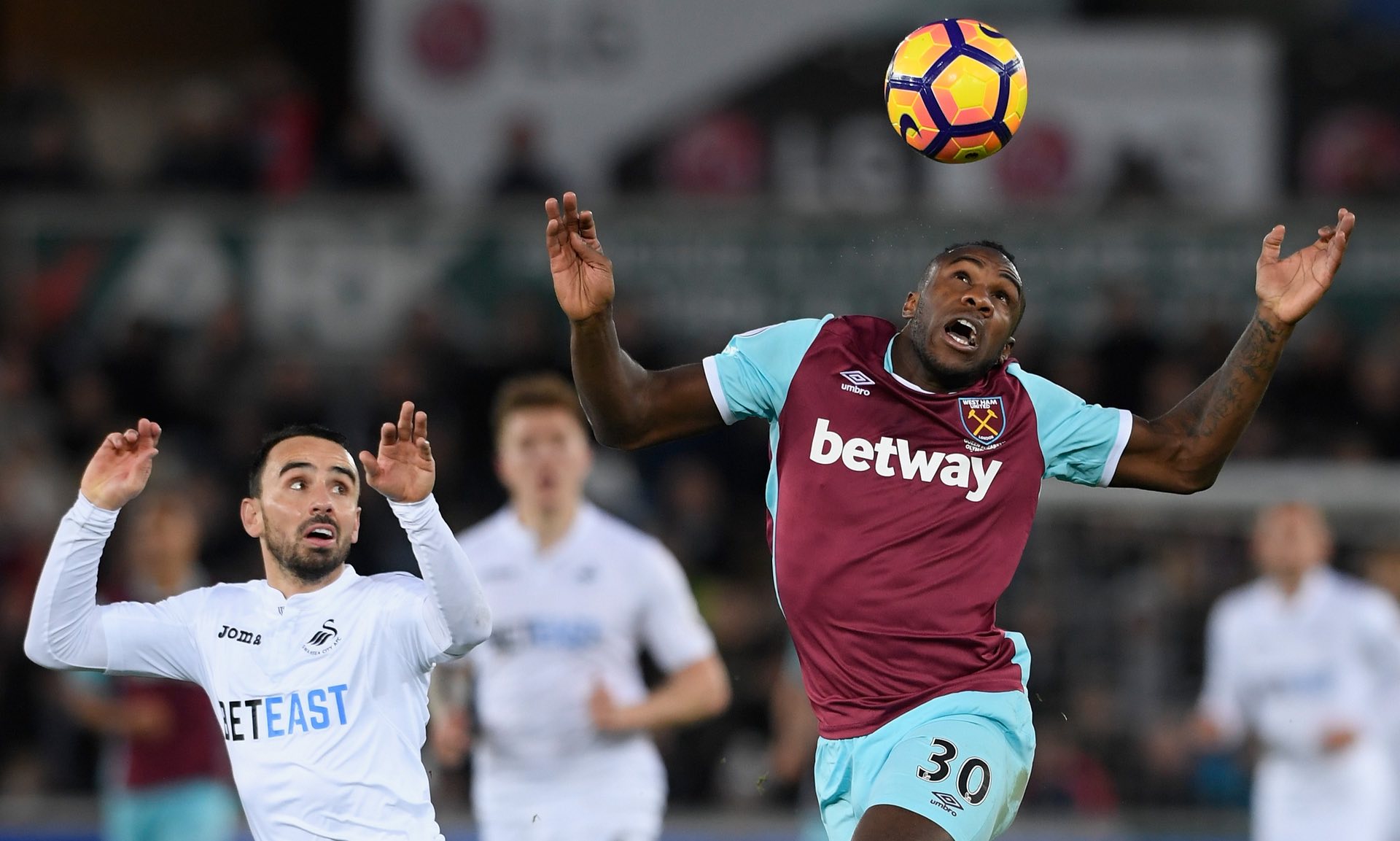 的宝贵财富 的宝贵财富