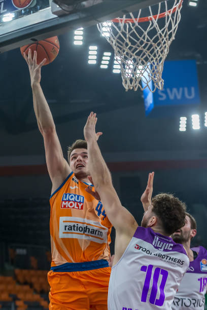 多样化的比 多样化的比